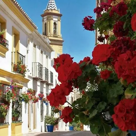 Apartment - Playa - Estudio Con Terraza Solarium Pi16 Estepona