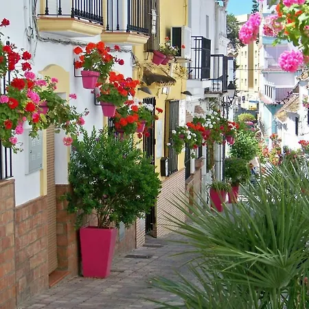 - Playa - Estudio Con Terraza Solarium Pi16 * Estepona