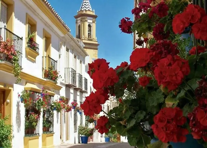 Apartment - Playa - Estudio Con Terraza Solarium Pi16 Estepona